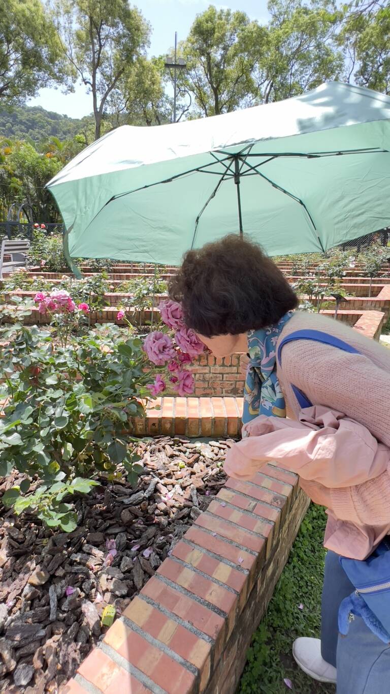 491302466_635516089476693_8070749754096142398_n