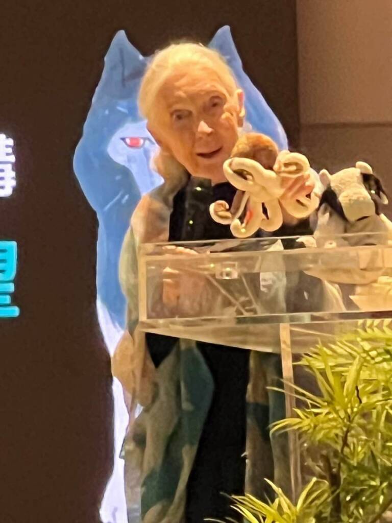 珍古德博士很有赤子之心!