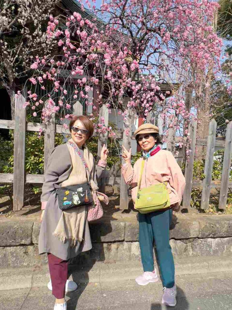 從晴空塔走半小時去賞梅，也一樣健步如飛呦～