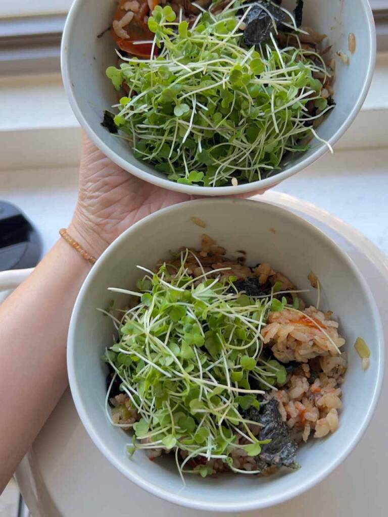 小V鍋煮的飯粒粒分明又Q彈