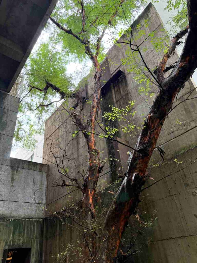 會呼吸的綠建築