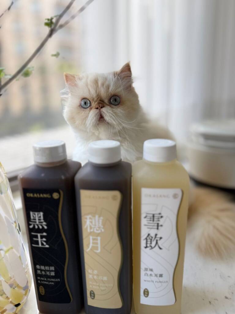 貓爸爸布丁:怎麼有這麼棒的東東，我也愛O卡桑！