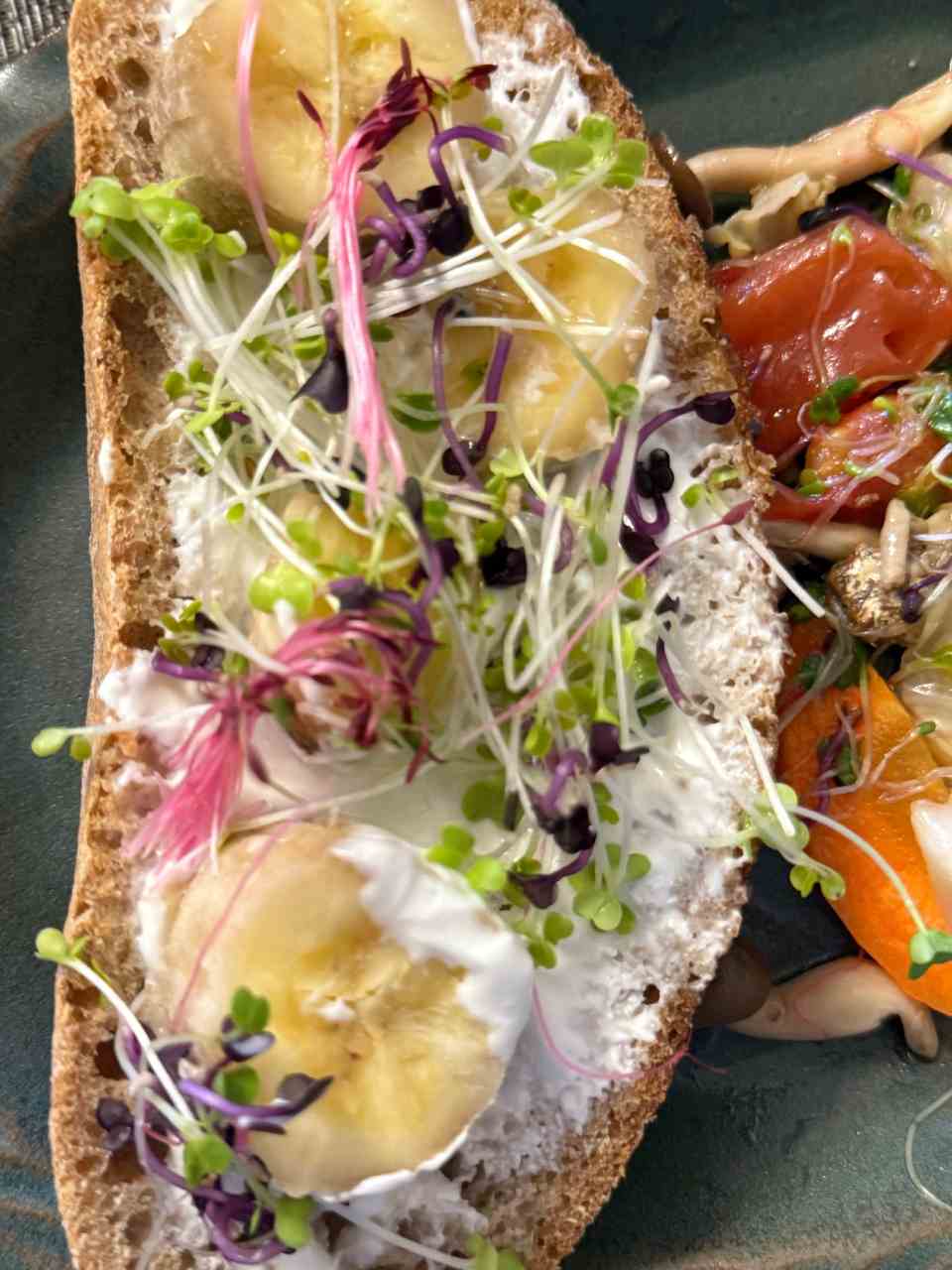 我的早餐,有許多菜苗的baby...魔人看了會說我很殘忍吧?(翻白眼)...結果他們在吃吻仔魚!