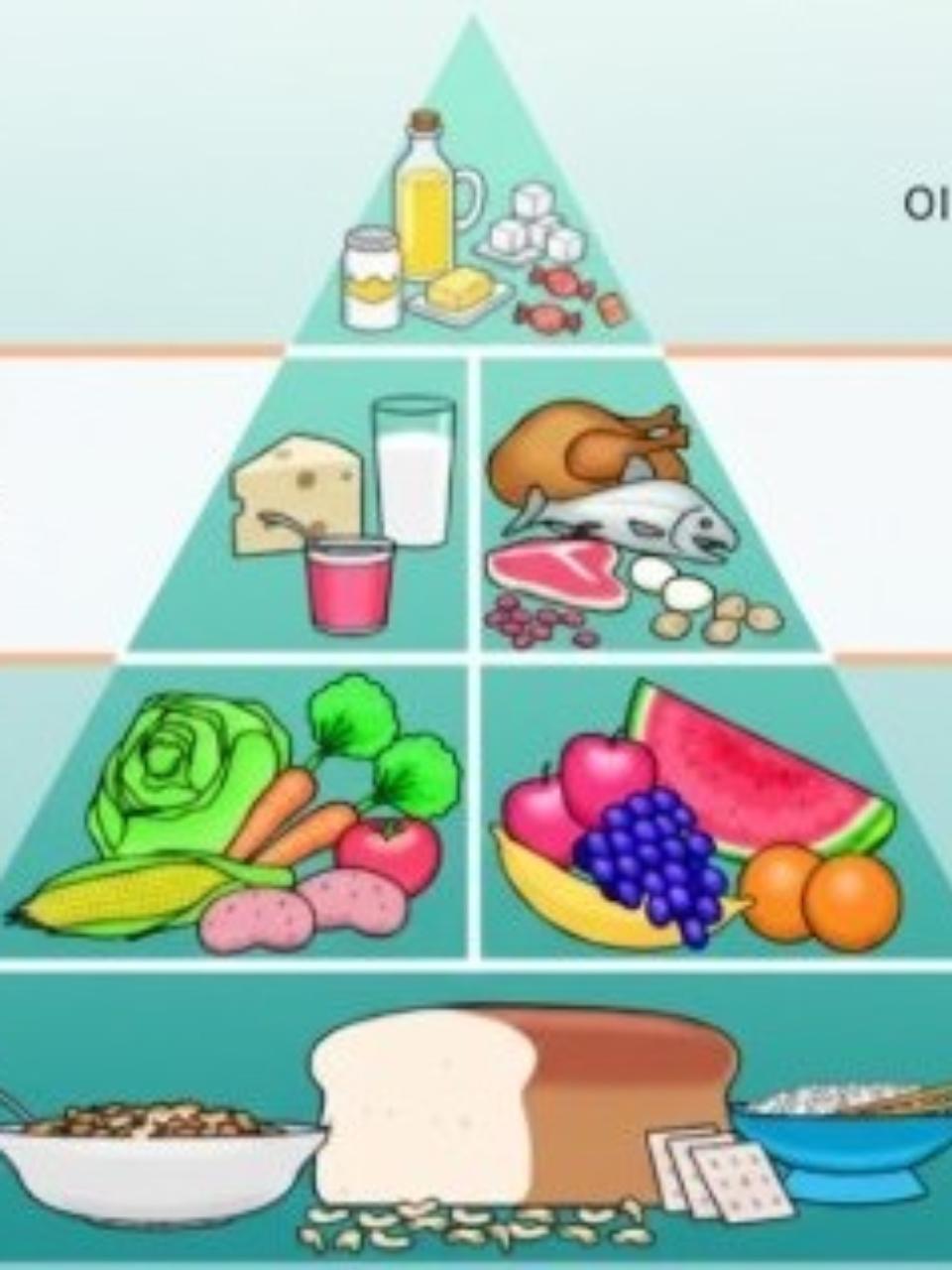 舊的飲食指南，把全穀、澱粉放在最下方。