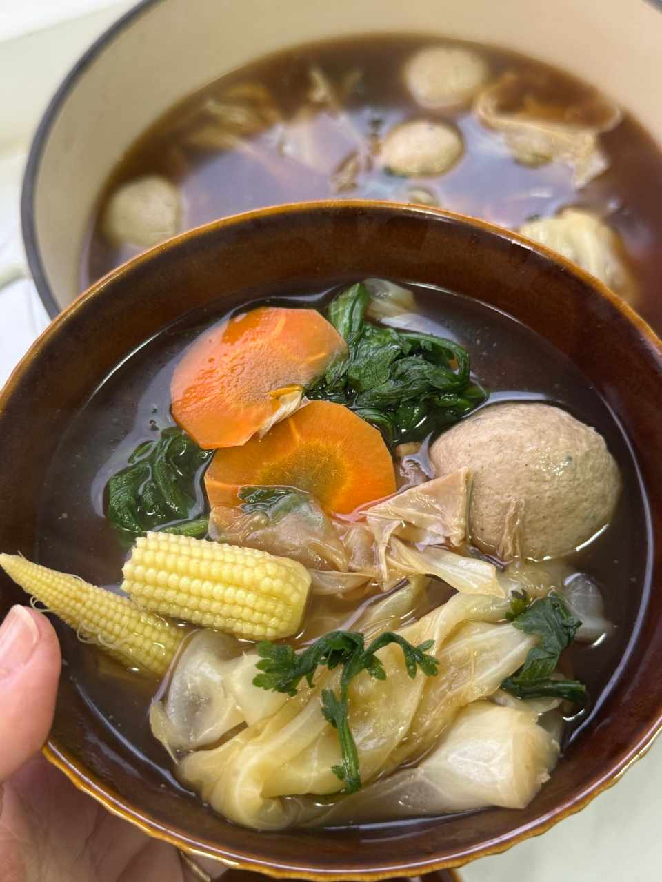 有樹食素肉骨茶湯，看起來還可以吧?